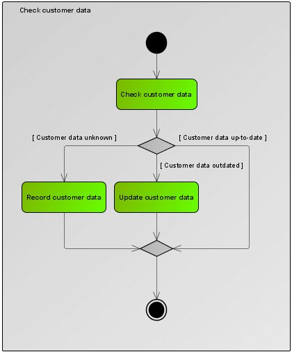 Check customer data activity diagram